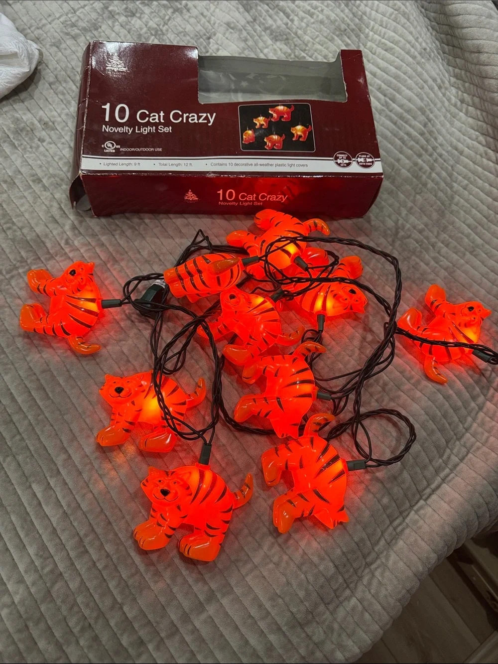 Novelty Light Set - Orange Cat Crazy String Lights